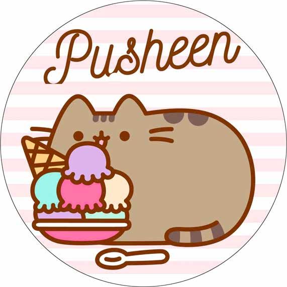 Op Atek Na Tort Kot Pusheen Z Lodami Erli Pl