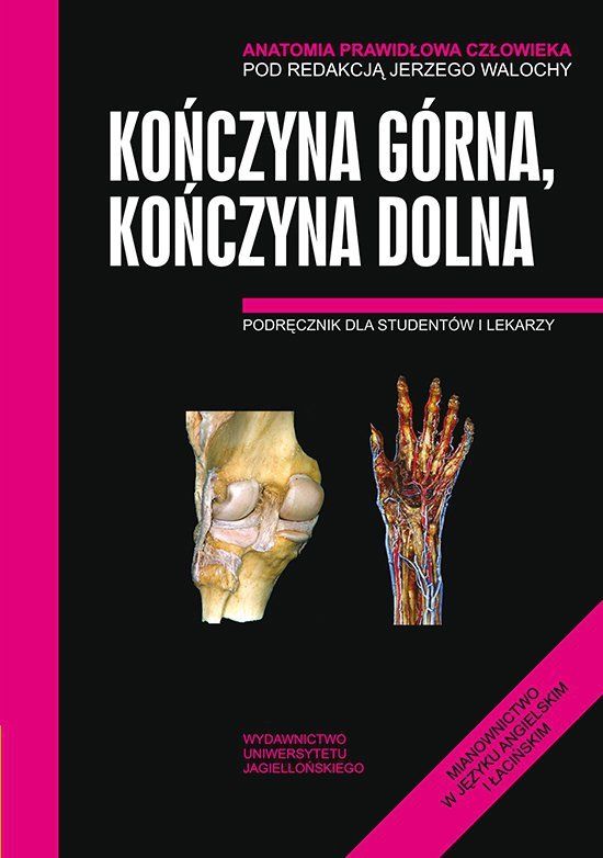 Anatomia prawidłowa człowieka kończyna górna kończyna dolna podręcznik