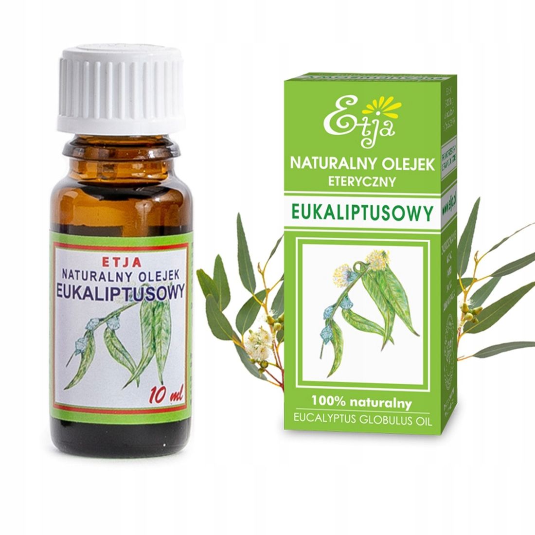 Naturalny Olejek Eteryczny Eukaliptusowy Ml Do Dyfuzora Aromaterapia