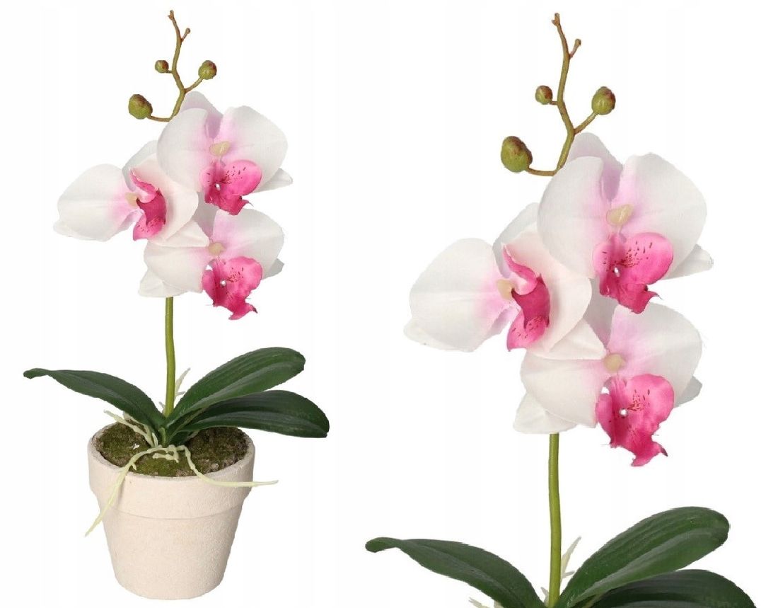 STORCZYK ORCHIDEA SZTUCZNE KWIATY W DONICZCE 30CM ERLI Pl