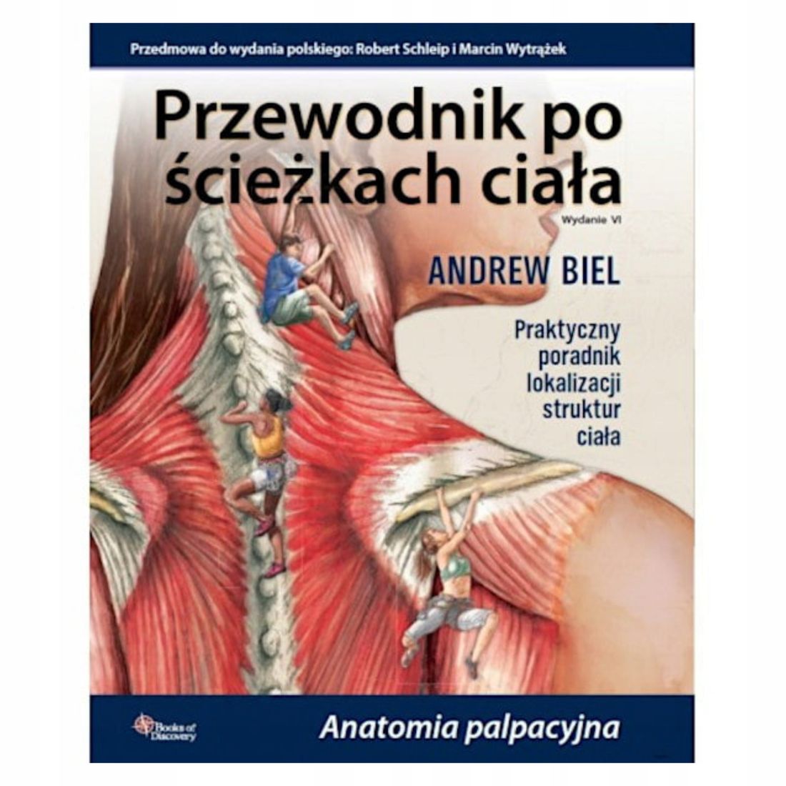 Przewodnik Po Cie Kach Cia A Anatomia Palpacyjna Erli Pl