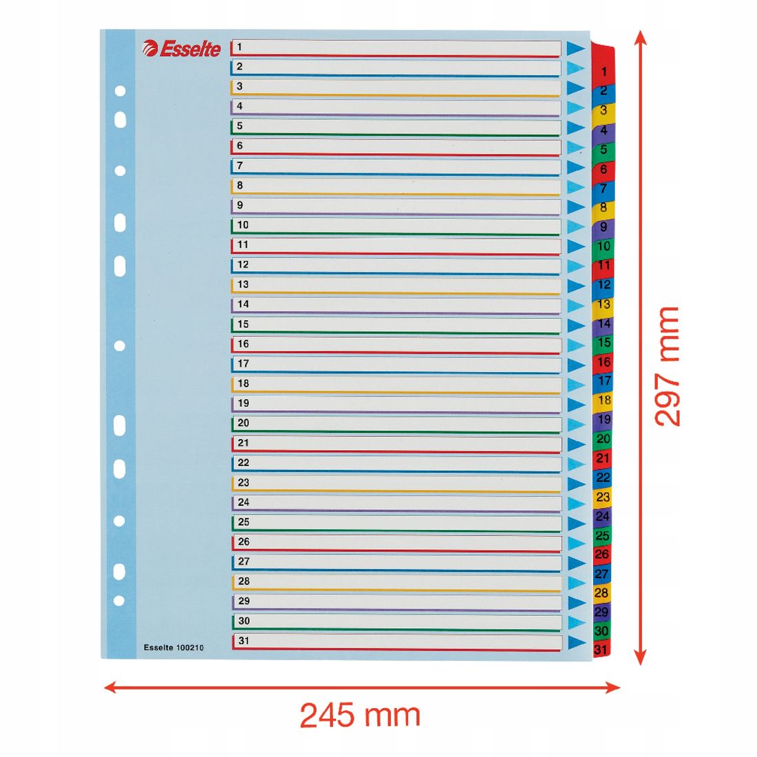 Przekładki kartonowe do segregatora 1 31 160g A4 ERLI pl