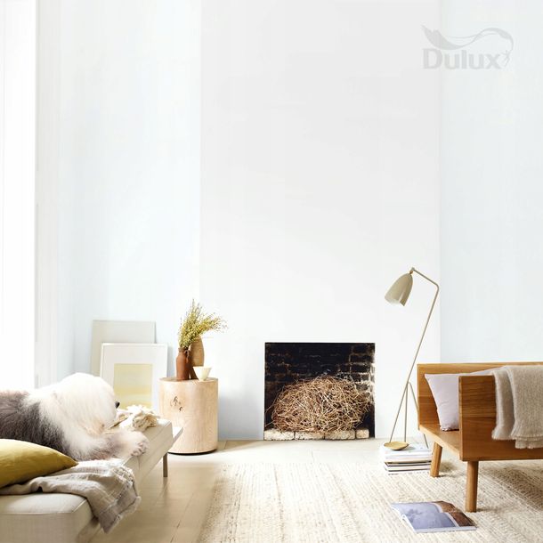 Dulux Absolute White Farba do ścian i sufitów 5L ERLI pl