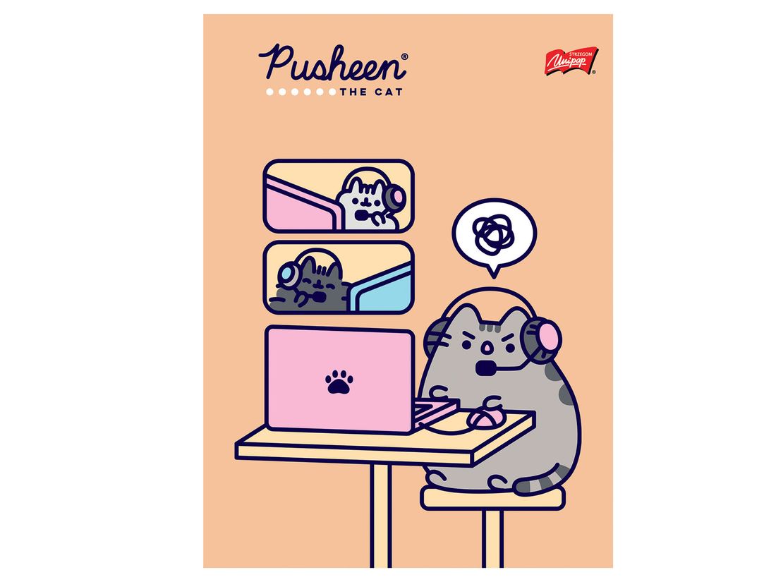 Zeszyt Pusheen The Cat Kot Kotek A Kratka Kartki W Kratk Erli Pl