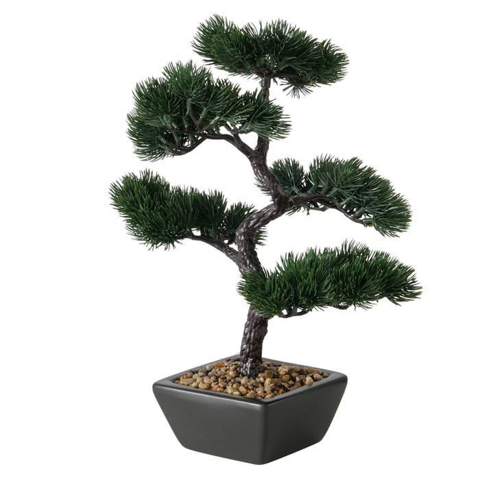 Drzewko Bonsai W Doniczce Cm Erli Pl