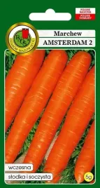 marchew-jadalna-amsterdamska-5-g-pnos