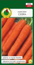 marchew-jadalna-cidera-5-g-pnos