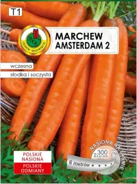 marchew-na-tasmie-amsterdamska-6-m-pnos