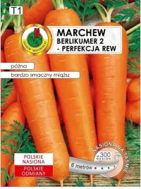 marchew-na-tasmie-berlikumer-2-perfekcja-tasma-6-m-pnos-ozarow