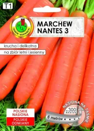 marchew-na-tasmie-nantes-6-m-pnos