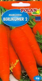 marchew-jadalna-berlikumer-perfekcja-5-g-polan