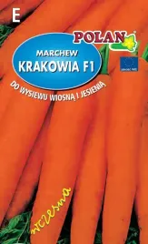marchew-jadalna-krakowia-f1-5-g-polan