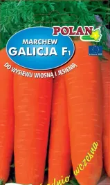 marchew-jadalna-galicja-f1-3-g-polan