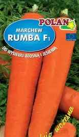 marchew-jadalna-rumba-f1-3-g-polan