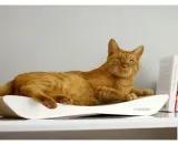 mykotty-drapak-tobi-bialy-marka-mykotty