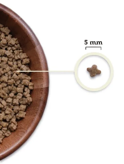 acana-highest-protein-kitten-18kg-wiek-zwierzecia-kocieta-i-mlode-koty