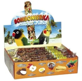 nestor-bombonierka-dla-srednich-papug