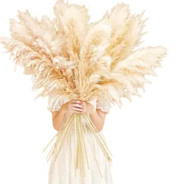 trawa-pampasowa-naturalna-10-sztuk-115-cm-dekoracja-boho-bannifll-biala