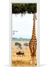 folia-fototapeta-na-drzwi-safari-zyrafa-afryka