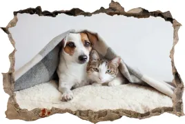 naklejki-na-sciane-fototapeta-3d-dziura-pies-i-kot