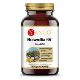 boswellia-65tm-90-kaps-yango
