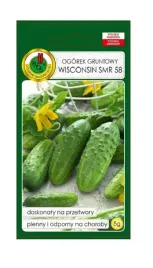 ogorek-gruntowy-wisconsin-smr-58-5-g-pnos