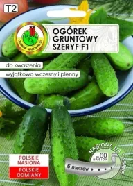 ogorek-gruntowy-szeryf-f1-6-m-pnos