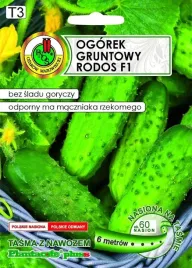 ogorek-gruntowy-na-tasmie-rodos-f1-6-m-pnos