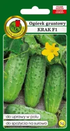 ogorek-gruntowy-krak-5-g-pnos