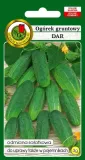 ogorek-gruntowy-dar-3-g-pnos