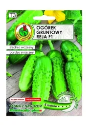 ogorek-gruntowy-reja-f1-tasma-6-m-pnos-ozarow