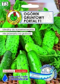 ogorek-gruntowy-na-tasmie-portal-f1-6-m-pnos