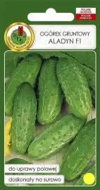 ogorek-gruntowy-aladyn-f1-50-g-pnos