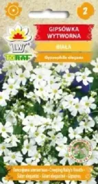 gipsowka-wytworna-biala-nasiona-1-g-na-skalniak