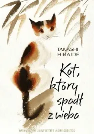 kot-ktory-spadl-z-nieba-takashi-hiraide