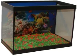 akwarium-9-l-z-dekoracja-30x15x20-wtopiona-tapeta