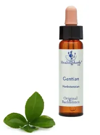 esencja-dr-bacha-12-gentian-goryczka-gorzkawa10ml