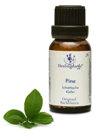 esencja-dr-bacha-24-pine-sosna-15g
