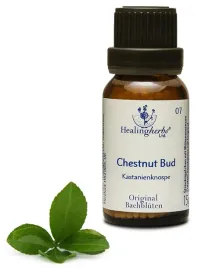 esencja-dr-bacha-7-chestnut-bud-pak-kaszta-15g