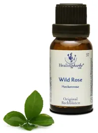 esencja-dr-bacha-37-wild-rose-dzika-roza-15g