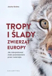 tropy-i-slady-zwierzat-europy-jak-interpretowac
