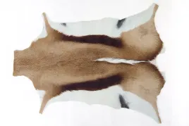 dywanik-velvet-skora-kozicy-90x120