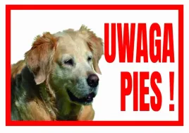 tup-8-tabliczka-ostrzegawcza-uwaga-pies-golden-r
