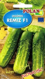 ogorek-gruntowy-remiz-3-g-polan