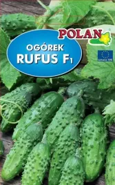 ogorek-gruntowy-rufus-f1-3-g-polan