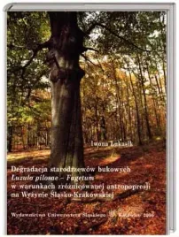 degradacja-starodrzewow-bukowych-buk-