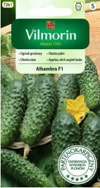 ogorek-gruntowy-alhambra-f1-3-g-vilmorin