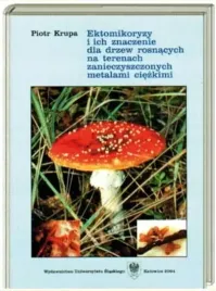 ektomikoryzy-i-ich-znaczenie-dla-drzew-krupa