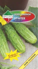 ogorek-gruntowy-f1-starter-5-g-spojnia