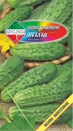 ogorek-gruntowy-avatar-f1-5-g-spojnia